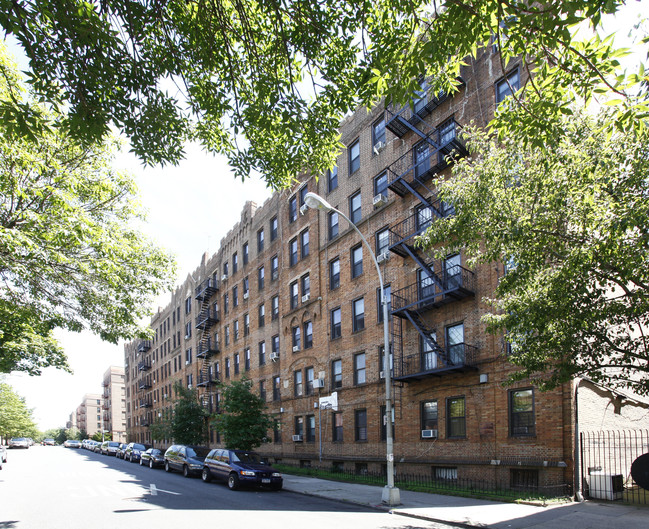 240 Crown St in Brooklyn, NY - Foto de edificio - Building Photo