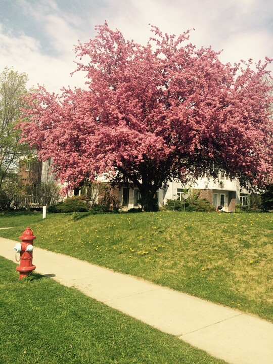 1035 Gammon Ln in Madison, WI - Foto de edificio