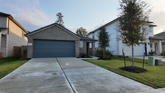 16976 Juniper Blossom Bnd in Conroe, TX - Building Photo