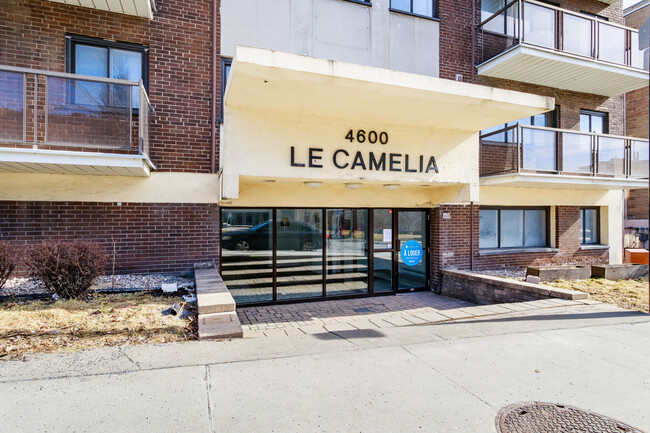 Le Camelia in Montréal, QC - Building Photo - Building Photo