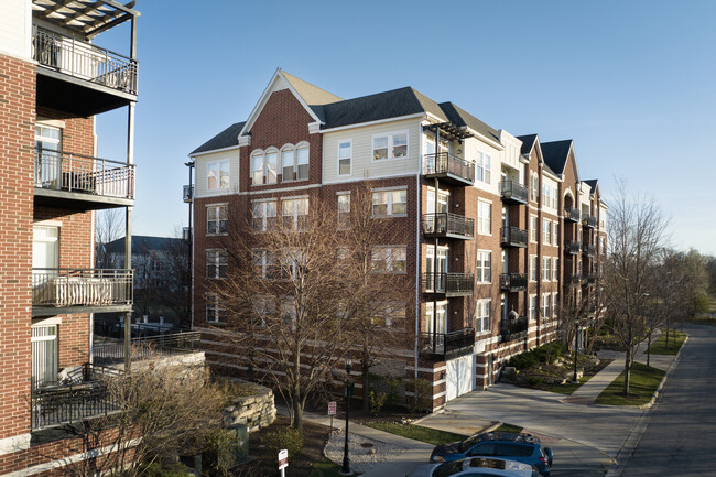 The Residences at the Grove in Forest Park, IL - Foto de edificio - Building Photo