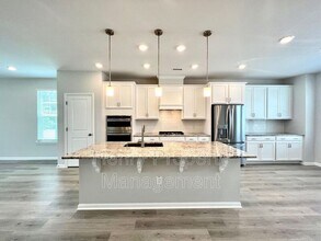 1002 Brookville Ln in Durham, NC - Building Photo - Building Photo