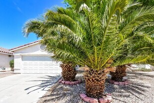 2920 Meadow Flower Ave in North Las Vegas, NV - Building Photo