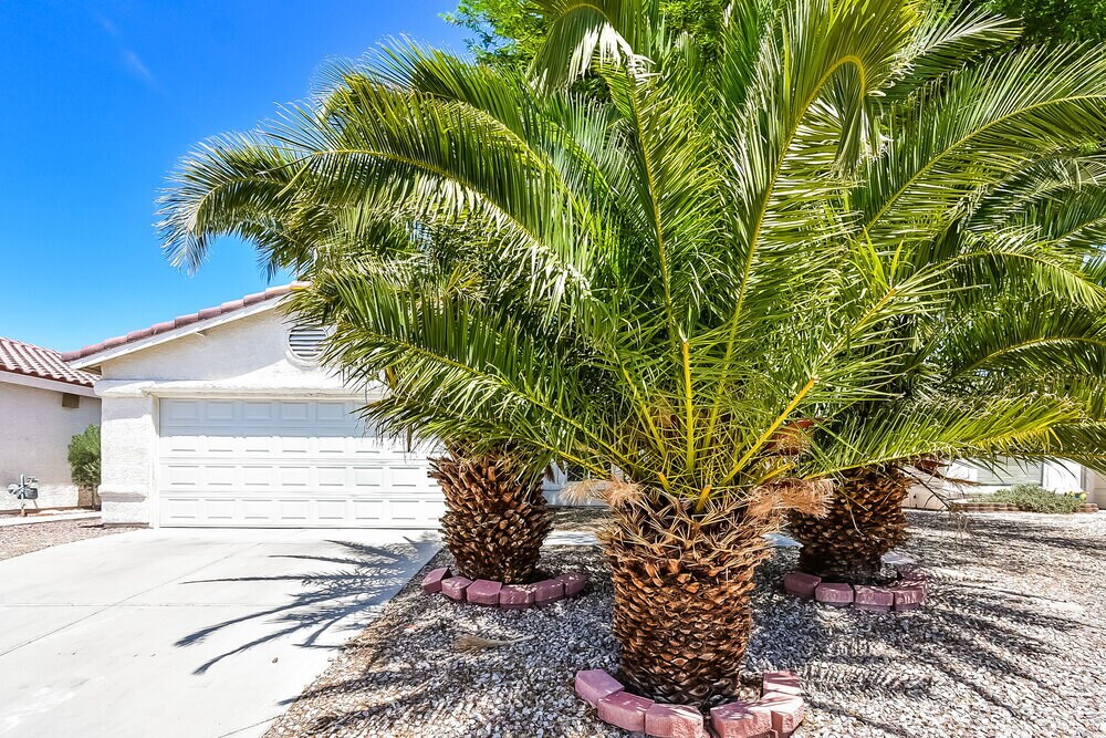 2920 Meadow Flower Ave in North Las Vegas, NV - Building Photo