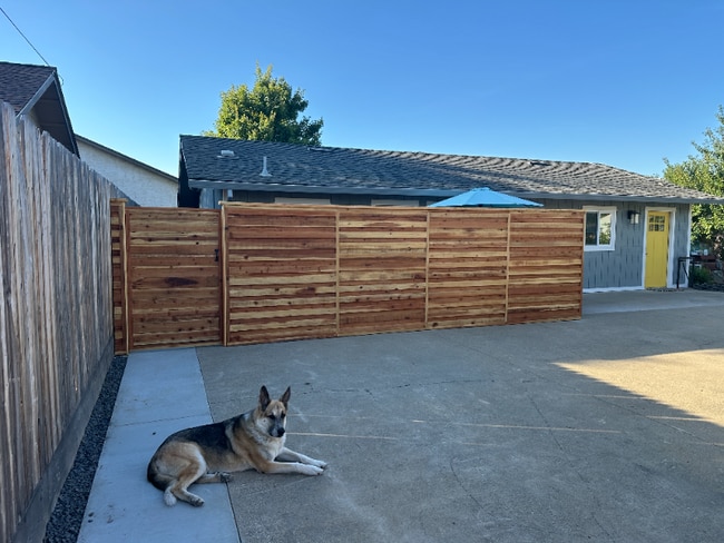 1125 W 12th Ave in Chico, CA - Foto de edificio - Building Photo