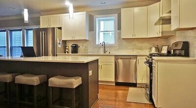 3727 N Christiana Ave, Unit 1 in Chicago, IL - Building Photo - Building Photo