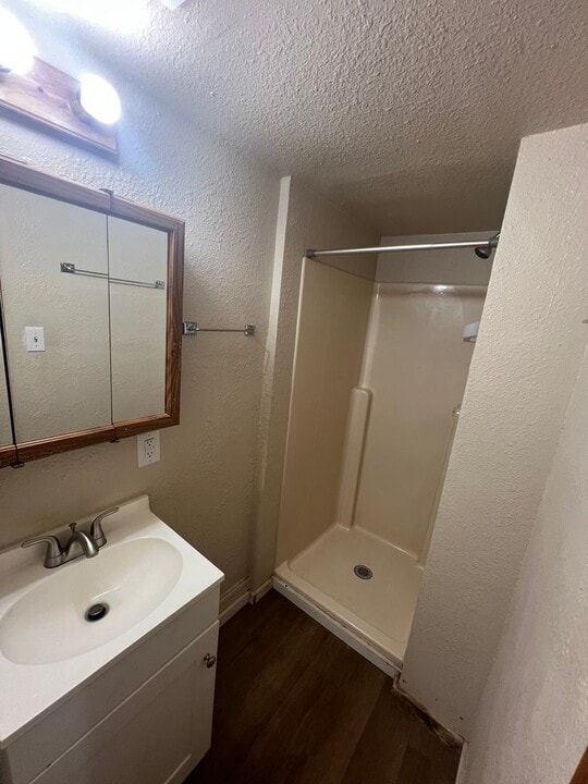 217 Smith St in Monroe, MI - Building Photo