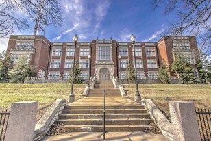 1517 S Theresa Ave in St. Louis, MO - Building Photo