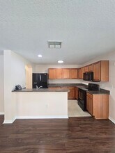 4615 Limerick Dr in Tampa, FL - Building Photo - Building Photo