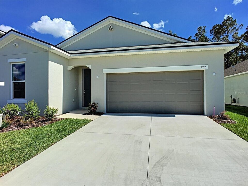 236 Bella Verano Way in Davenport, FL - Building Photo