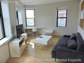 117 Mt Auburn St in Cambridge, MA - Building Photo - Building Photo