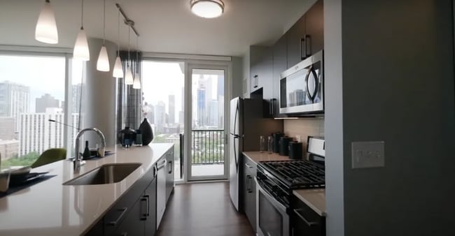 917 N Orleans St, Unit 1707 in Chicago, IL - Building Photo - Building Photo