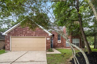 2 Amber Fire Pl in Spring, TX - Building Photo