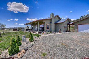 420 Ponderosa Dr in Pagosa Springs, CO - Building Photo