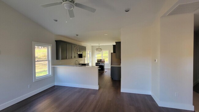 117 Paislee Pk Ct in Fairview, NC - Building Photo - Building Photo