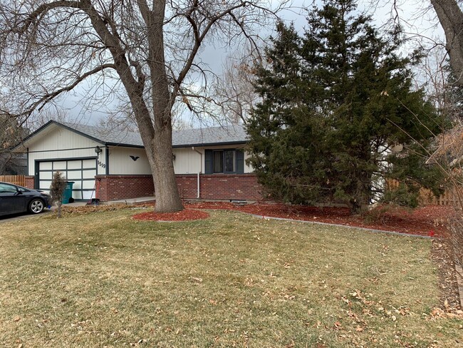 1519 Patton St in Fort Collins, CO - Building Photo - Building Photo