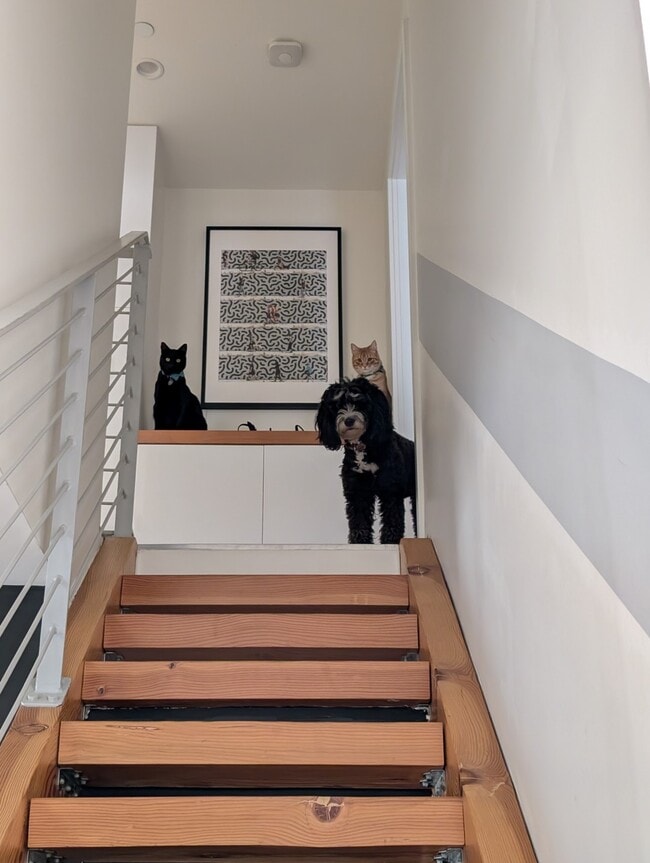 800 Chestnut Ave in Los Angeles, CA - Building Photo - Building Photo