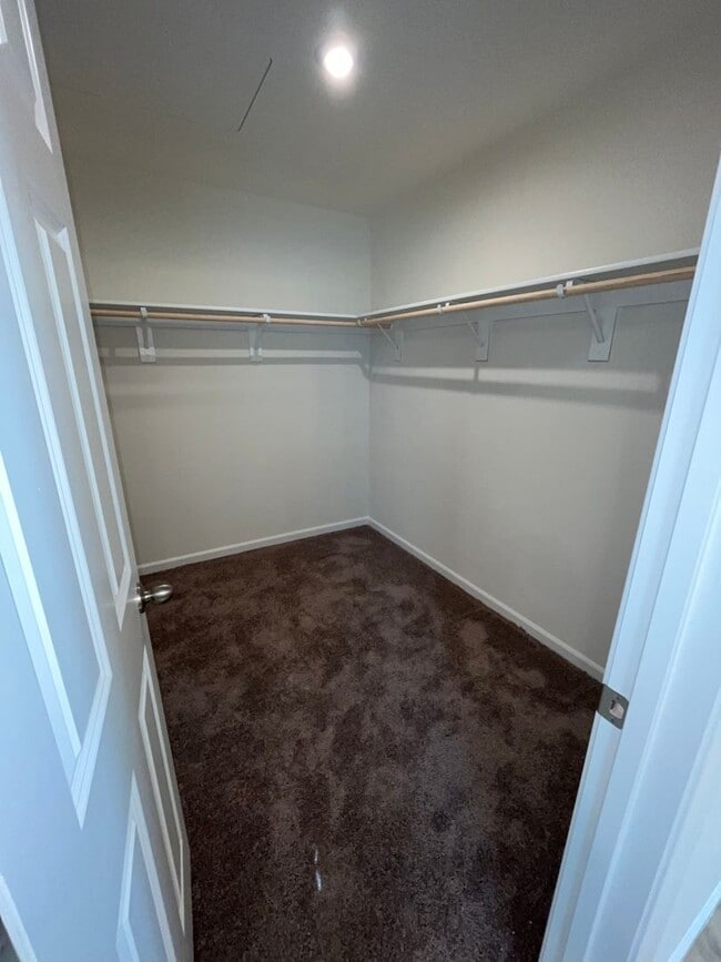 8162 Angsley Dr in Elk Grove, CA - Building Photo - Building Photo