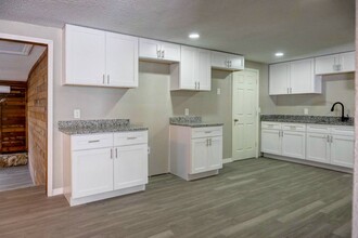 17125 Rich Jo Cir in Lutz, FL - Building Photo - Building Photo