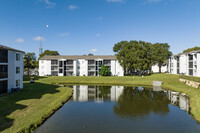 Skye Reserve in Brandon, FL - Foto de edificio - Building Photo