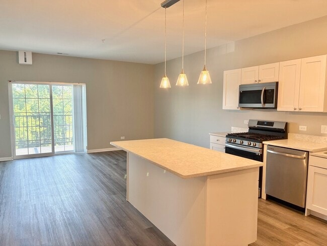 11808 Coral St in Huntley, IL - Building Photo - Building Photo