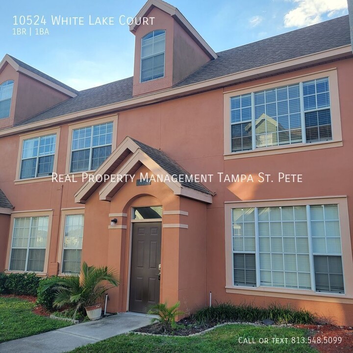 10524 White Lake Ct in Westchase, FL - Building Photo