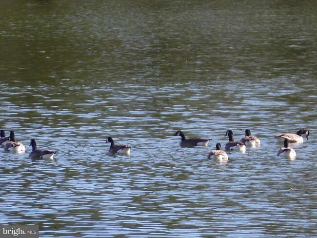 property at 1708 Lake Shore Crest Dr