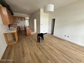 1120 S Washington St in Lafayette, LA - Building Photo - Building Photo