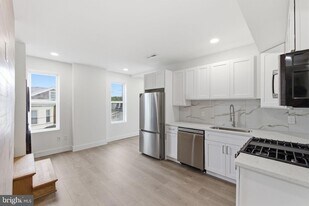 213 Hermitage St in Philadelphia, PA - Building Photo