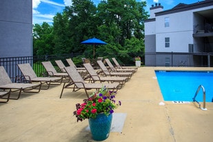 WildForest Apartments