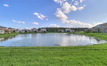 31045 Lindentree Dr in Wesley Chapel, FL - Building Photo - Building Photo