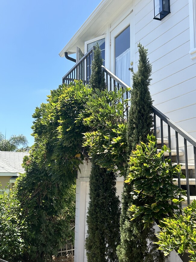 216 Cypress Dr, Unit A in Laguna Beach, CA - Building Photo - Building Photo
