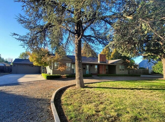 1674 E Marshall St in Turlock, CA - Building Photo - Building Photo