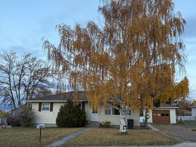 property at 301 Geddis St