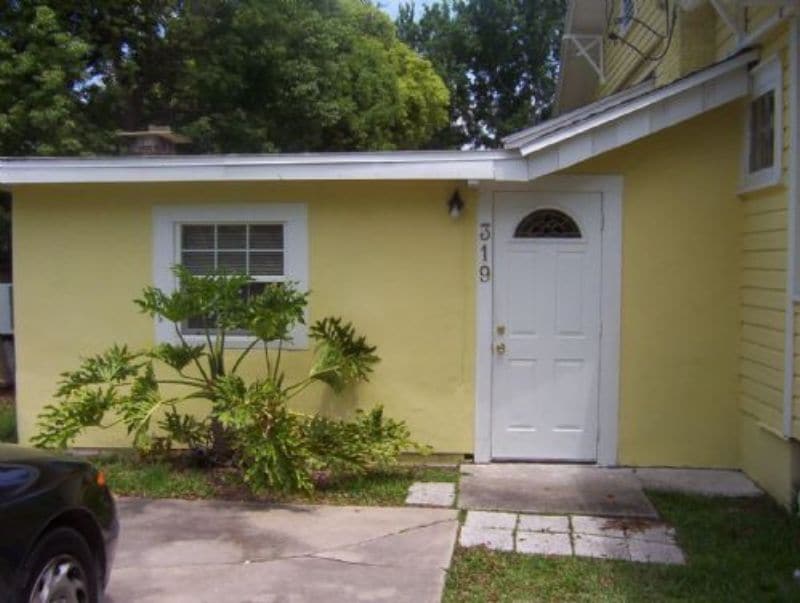 319 E Pierce Ave in Orlando, FL - Building Photo