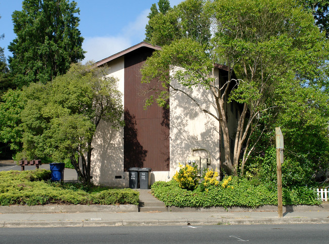 620-626 Main St in Sebastopol, CA - Building Photo - Building Photo