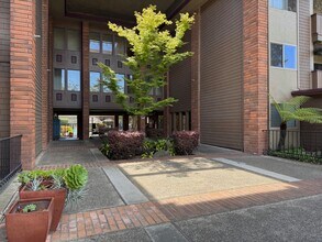 1311 Webster St, Unit E110 in Alameda, CA - Foto de edificio - Building Photo