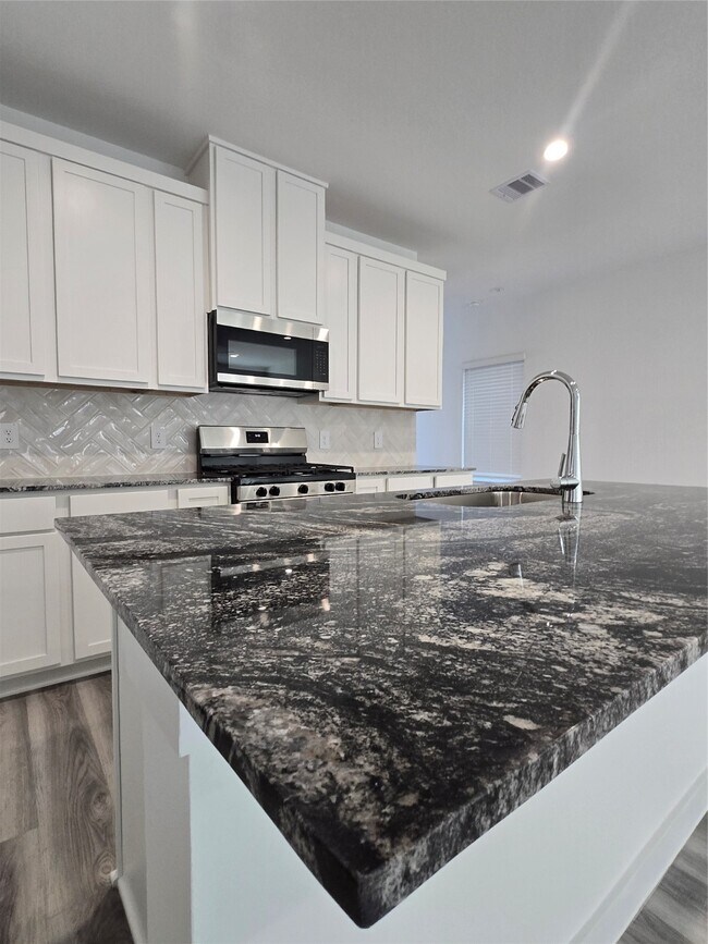 2808 Lisburn Ter Ln in Houston, TX - Building Photo - Building Photo