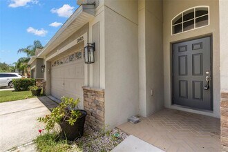 20405 Autumn Fern Ave in Tampa, FL - Building Photo - Building Photo