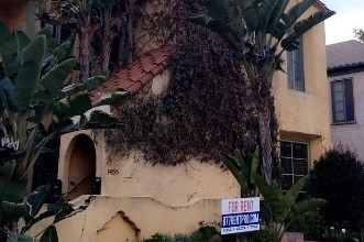 1455 S Bedford St in Los Angeles, CA - Building Photo