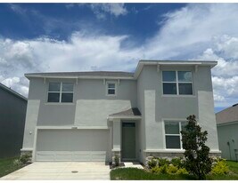 10588 Farm Hill Ave in Land O Lakes, FL - Building Photo