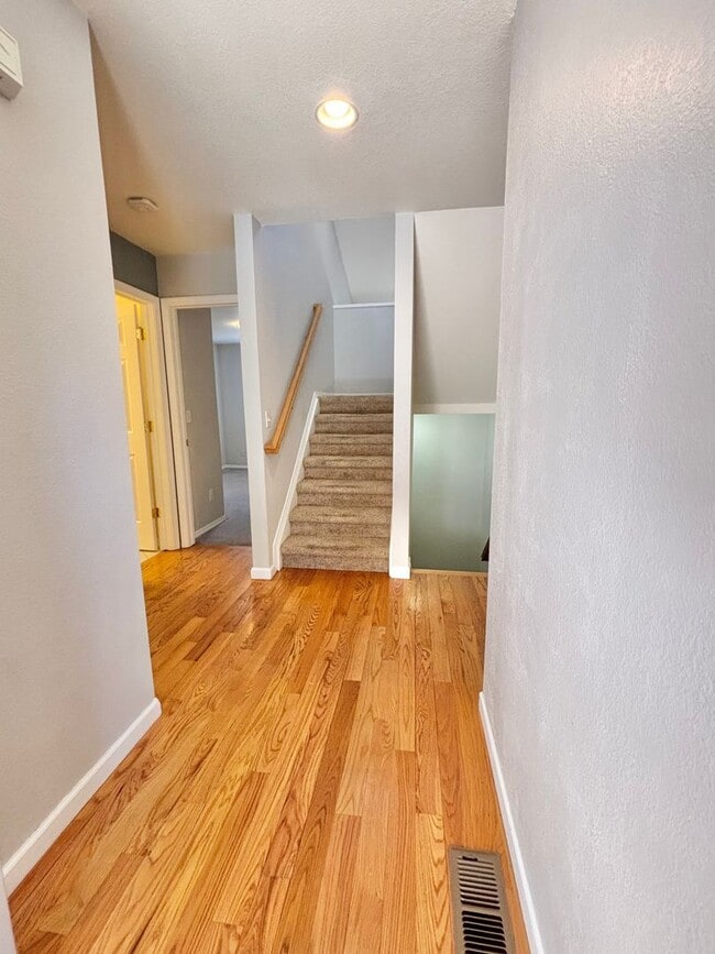 1005 Homestake Dr in Golden, CO - Building Photo - Building Photo