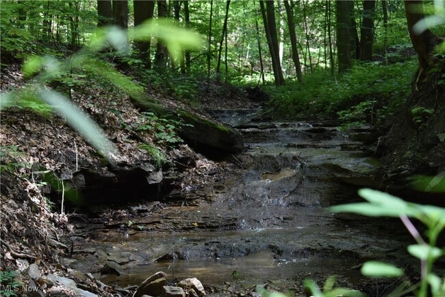 property at 6287 Riverview Rd