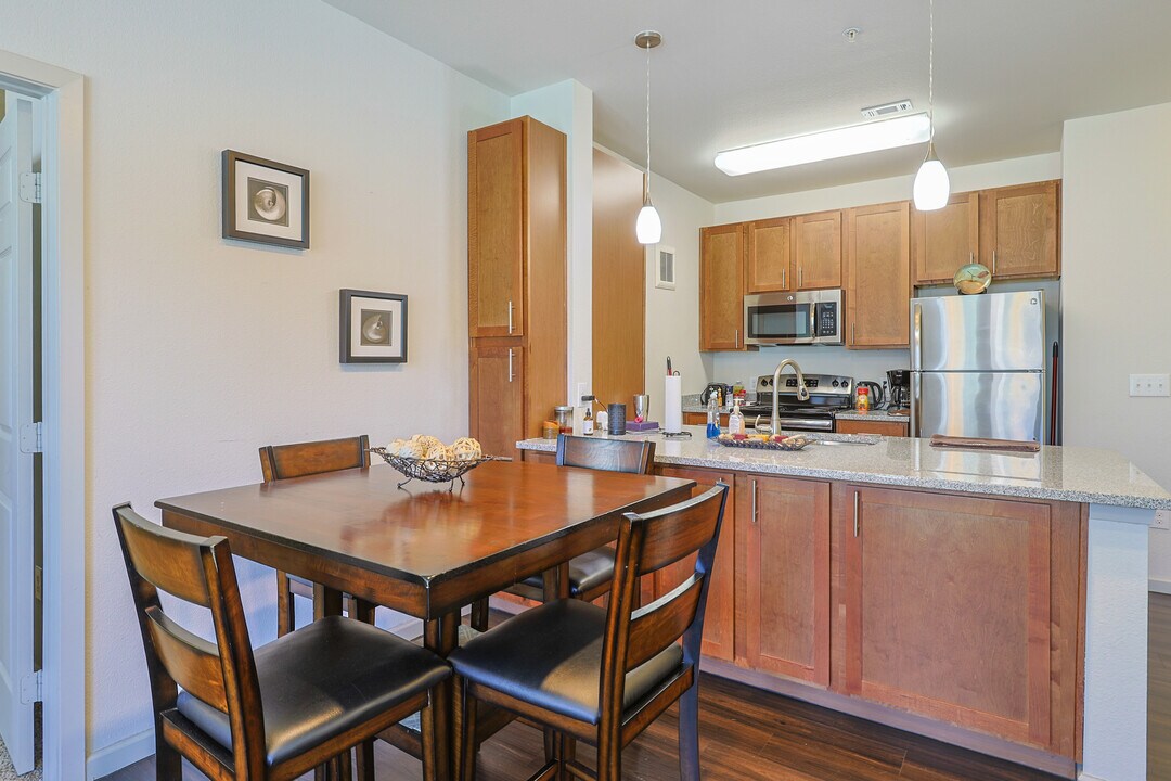 Aldrich 51 - 1002 in Austin, TX - Building Photo