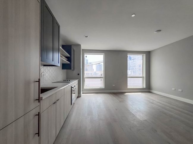 1255 N Sandburg Terrace in Chicago, IL - Building Photo - Building Photo