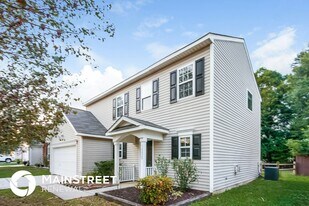 10028 Green Hedge Ave in Charlotte, NC - Building Photo