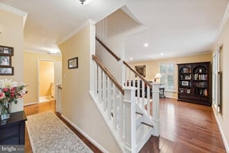 6603 Forsythia St in Springfield, VA - Building Photo - Building Photo