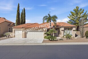 10845 N Eagle Eye Pl in Oro Valley, AZ - Building Photo