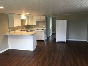 223 N West St, Unit 4 in Dakota, IL - Building Photo - Building Photo