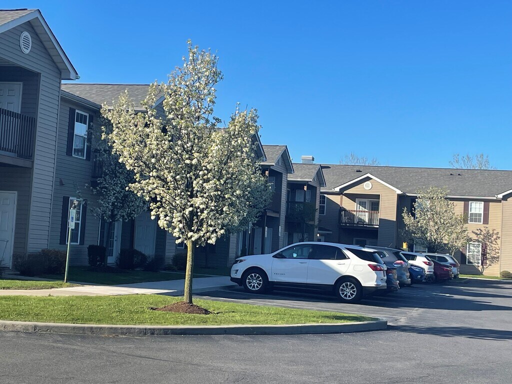Buckley Square Senior Apartments in North Syracuse, NY